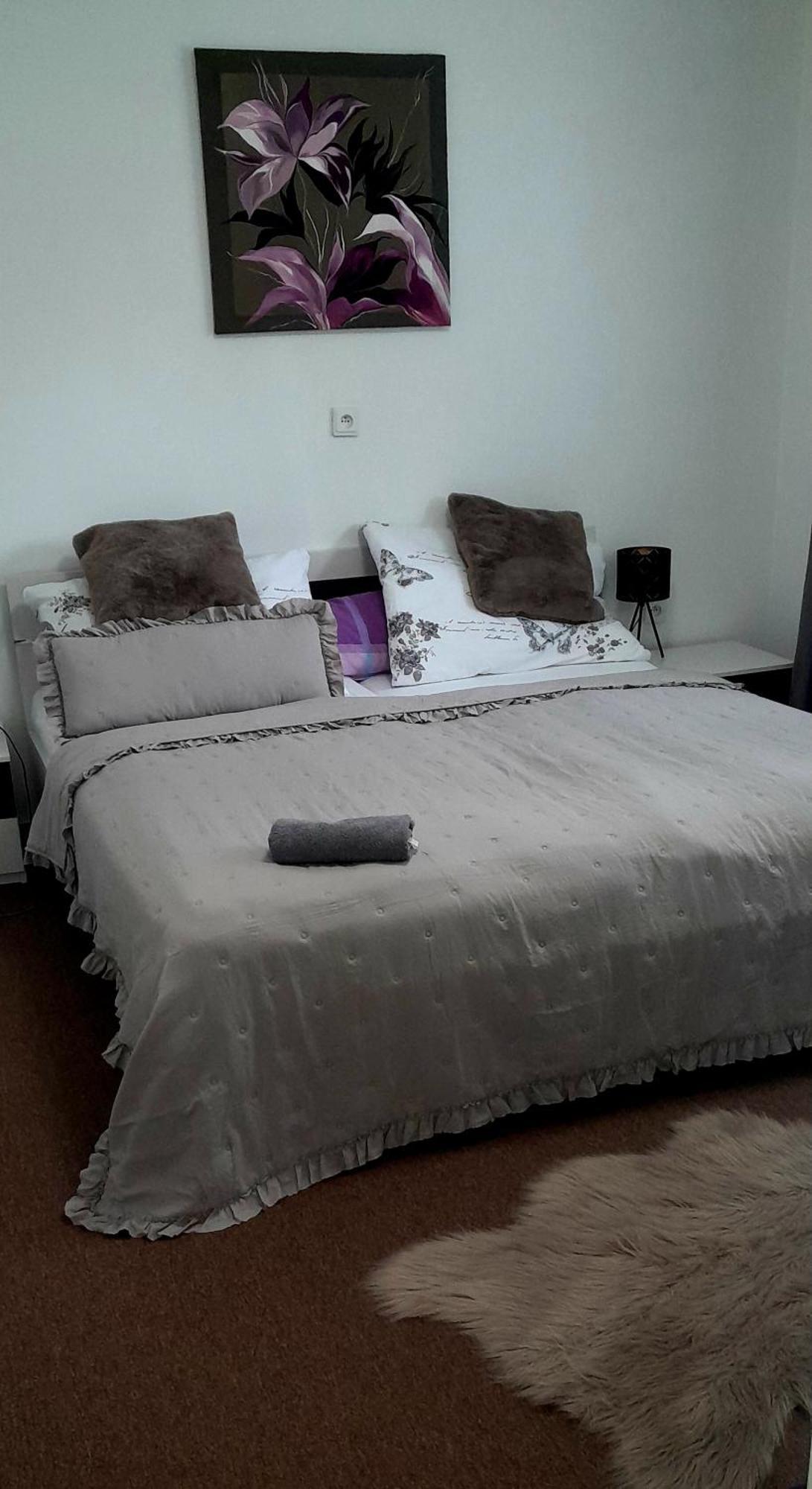 Ubytovanie Dana Piest'any Room photo